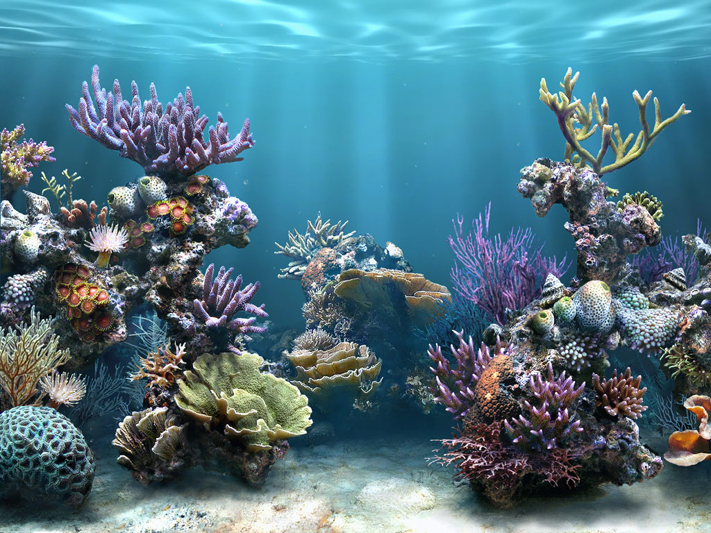 makalah tentang terumbu karang