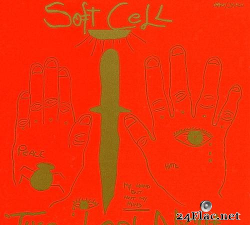 soft cell the singles rar